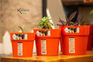 ACCESSOIRES DE JARDINAGE مستلزمات البستنة والحدائق